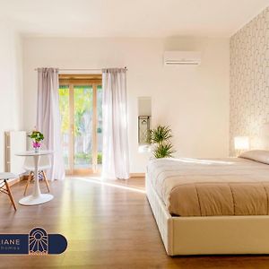 Apartamento de 3 Dormitorios